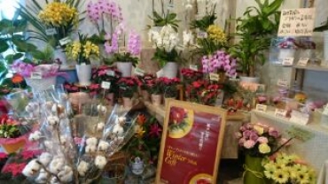 「あわや」　（栃木県大田原市）の花屋店舗写真3